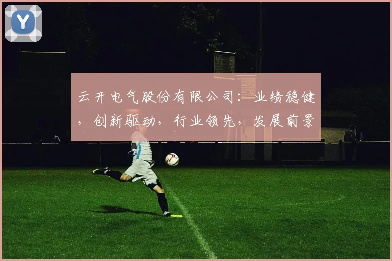 云开电气股份有限公司：业绩稳健，创新驱动，行业领先，发展前景广阔，值得关注