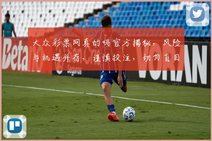 大众彩票网真的吗官方揭秘，风险与机遇并存，谨慎投注，切勿盲目