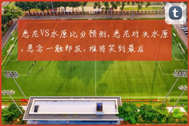 悉尼VS水原比分预测,悉尼对决水原,悬念一触即发,谁将笑到最后
