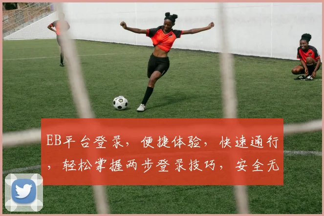EB平台登录，便捷体验，快速通行，轻松掌握两步登录技巧，安全无忧