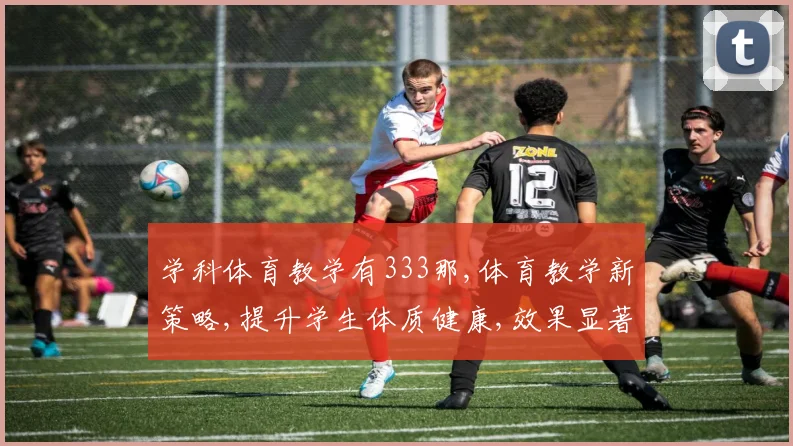 学科体育教学有333那,体育教学新策略,提升学生体质健康,效果显著